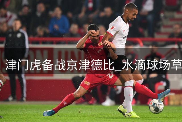 津门虎备战京津德比 水滴球场草皮养护完毕